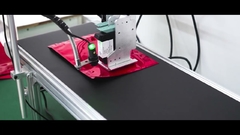 Ти-Джи-Джи чернильный кодировочный принтер ((COTAJET)