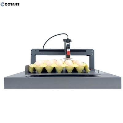 300DPI -600DPI Egg Coding Machine / Egg Inkjet Printer With Printing On Eggs And Egg Cartons